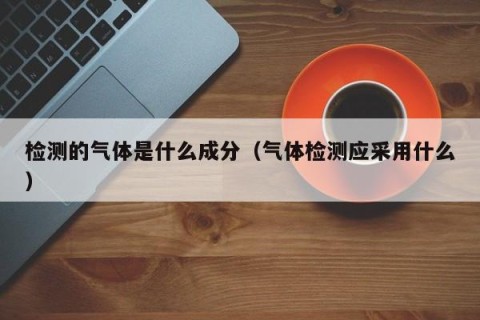 检测的气体是什么成分（气体检测应采用什么）