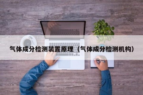 气体成分检测装置原理（气体成分检测机构）