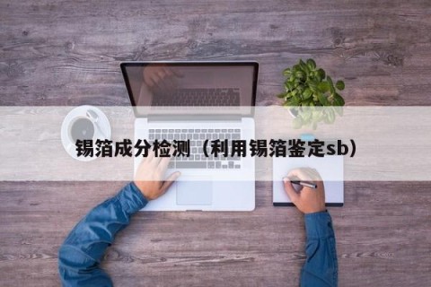 锡箔成分检测（利用锡箔鉴定sb）