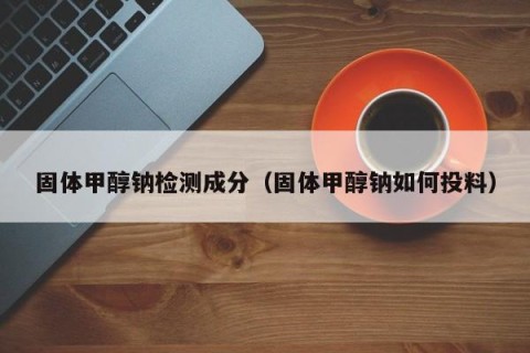 固体甲醇钠检测成分（固体甲醇钠如何投料）