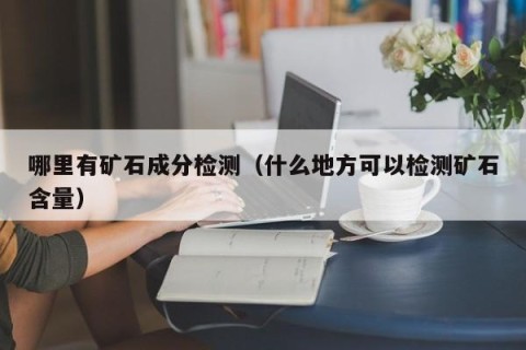 哪里有矿石成分检测（什么地方可以检测矿石含量）