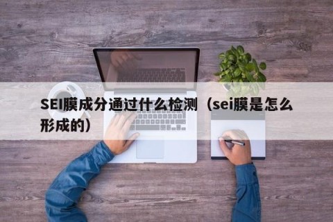 SEI膜成分通过什么检测（sei膜是怎么形成的）